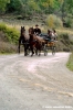 civitella_belagaio036