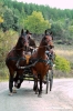 civitella_belagaio037