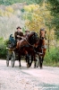 civitella_belagaio045