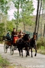 civitella_belagaio061