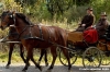 civitella_belagaio093
