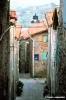 collodi81_28