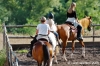 cornacchino003