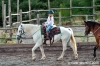 cornacchino007