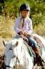 cornacchino024