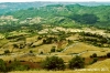 cornacchino046