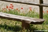 cornacchino07_050703