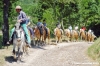 cornacchino10_050702