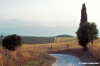 cupi986_49