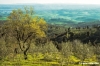 empoli9_24