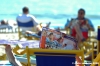 forte_dei_marmi14