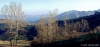 giuncugnano47