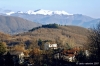 giuncugnano48