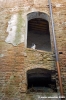 grancia_cuna16