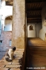 grancia_cuna33
