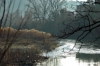 le_sieci1