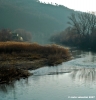 le_sieci5