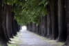 lucca001