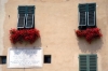 lucca025