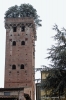 lucca163