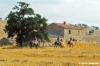 marsiliana986_12