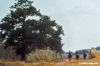 marsiliana986_21