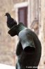 massa_marittima10