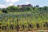 mercatale815_31