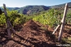 mercatale890_04