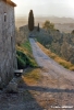 mercatale900429a69