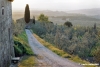 mercatale900429b69