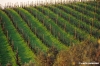mercatale940_03