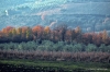 molin_del_piano509_19