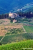 montagliari854_43