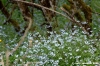 monte_labro041