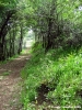 monte_labro046