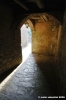 montefioralle04