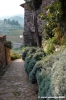 montefioralle07