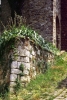 montefioralle860709g69