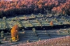 monteloro508_05