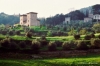 monteloro799_09