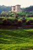 monteloro799_10