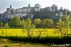 monterchi_primavera013