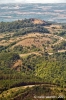 montevitozzo7
