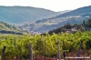nipozzano07