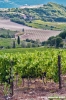 nipozzano08