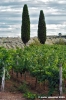 nipozzano11