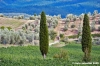 nipozzano16