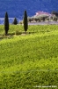 nipozzano41