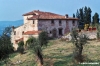 nipozzano_485_44